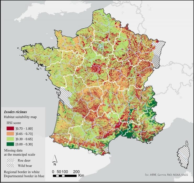 Carte de score des habitats favorables à la tique Ixodes ricinus en France métropolitaine