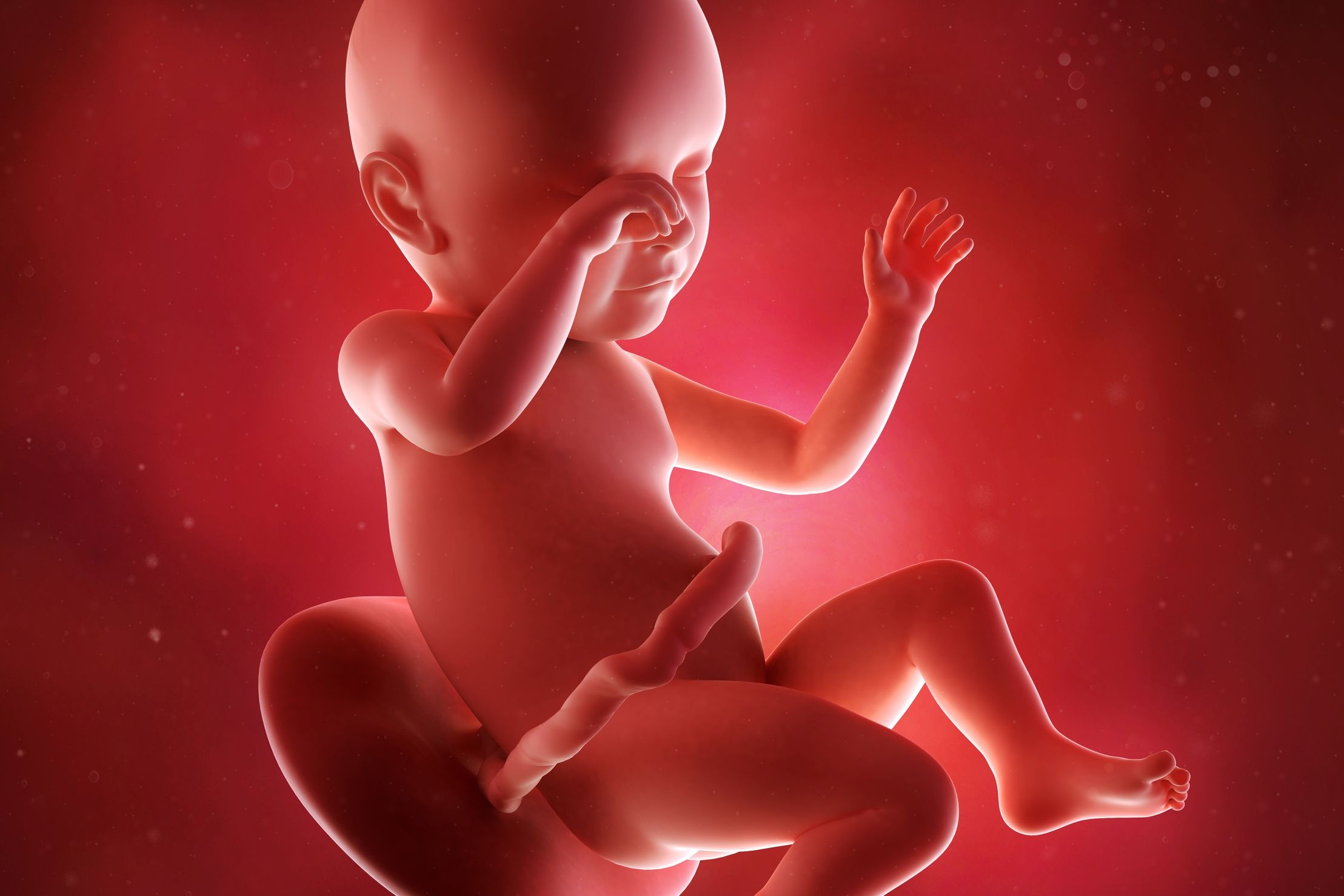 5eme Mois De Grossesse Pour Bebe Evolution Du Foetus A 5 Mois Doctissimo