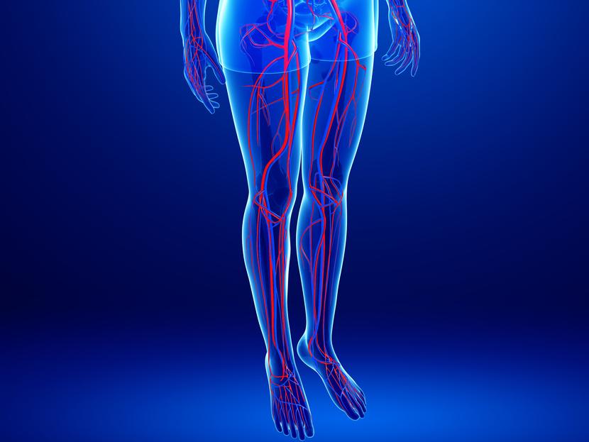 Douleur de la jambe : quelles causes ?