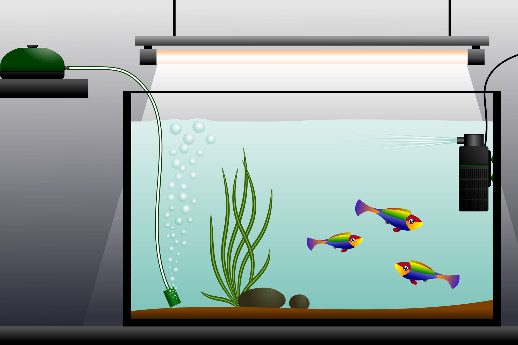 Matériau du filtre du réservoir de filet de poisson pour aquarium