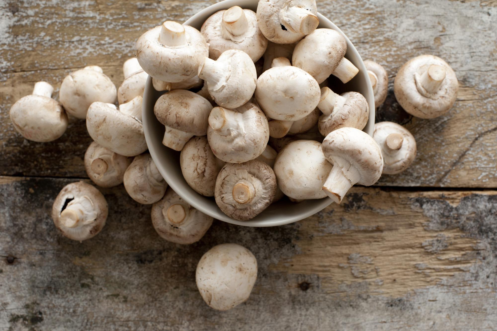 Nutrition : les 5 principaux bienfaits des champignons pour la santé - BBC  News Afrique