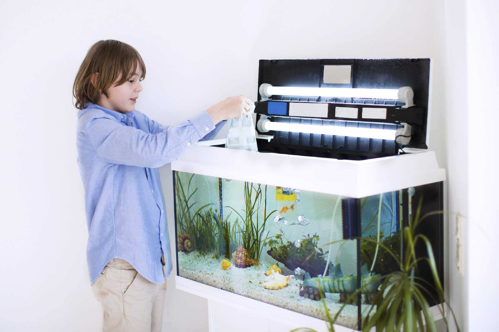 Pompe d'aquarium : à quoi sert-elle ? Comment la choisir ?