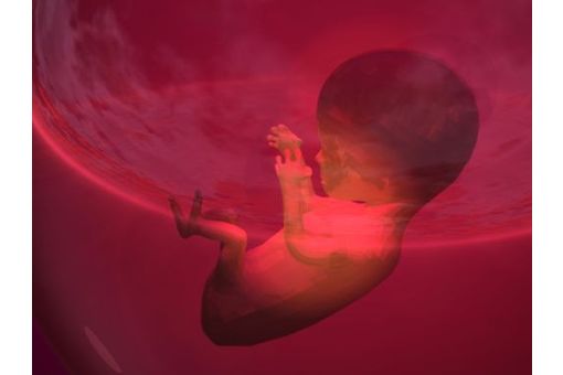 Mort du foetus in utero - Symptômes et traitement - Doctissimo