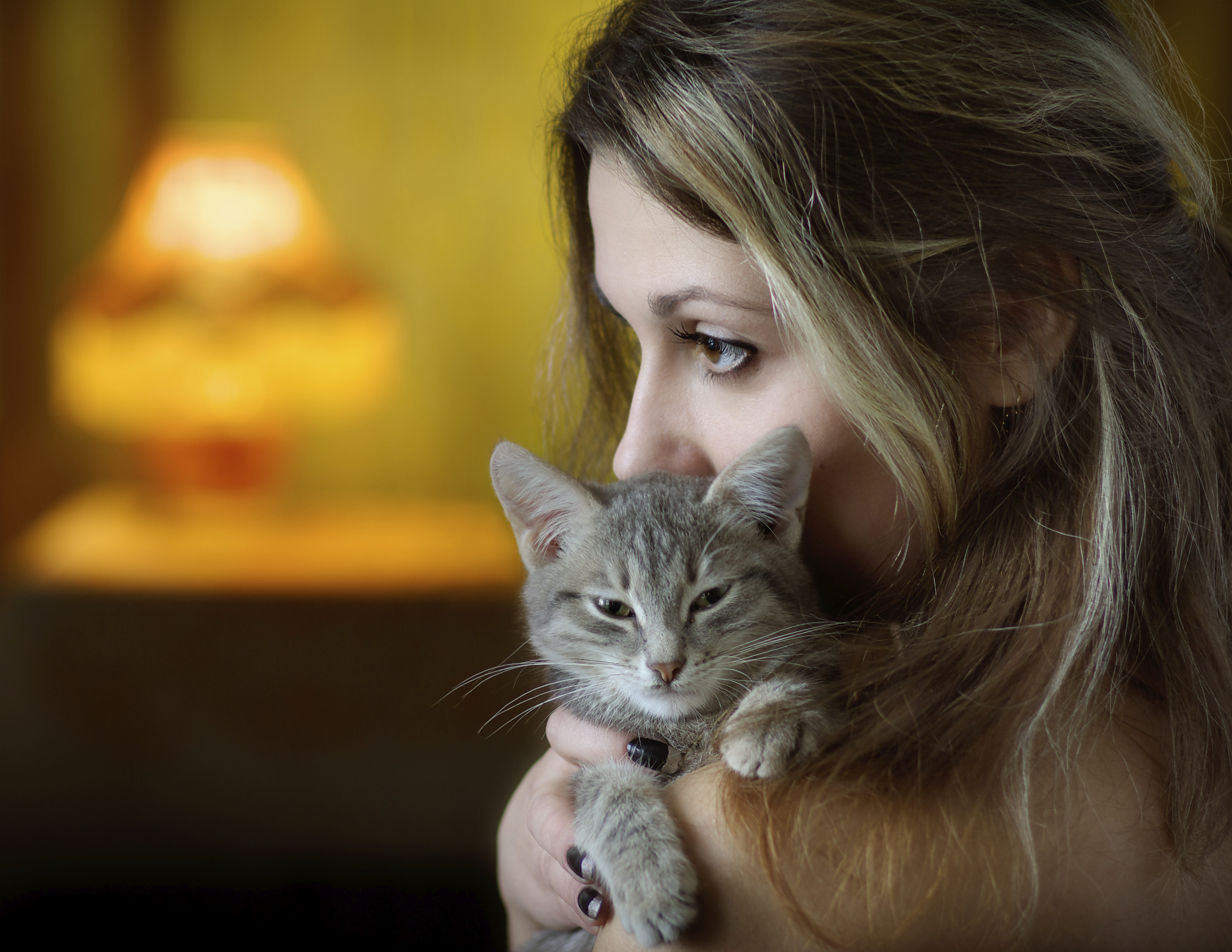 Comportements Du Chat Comprendre Son Chat Doctissimo