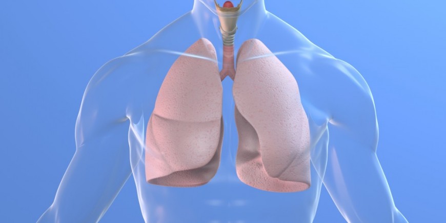 Valvulopathies : pose d'une valve aortique sans ouvrir le thorax -  Doctissimo