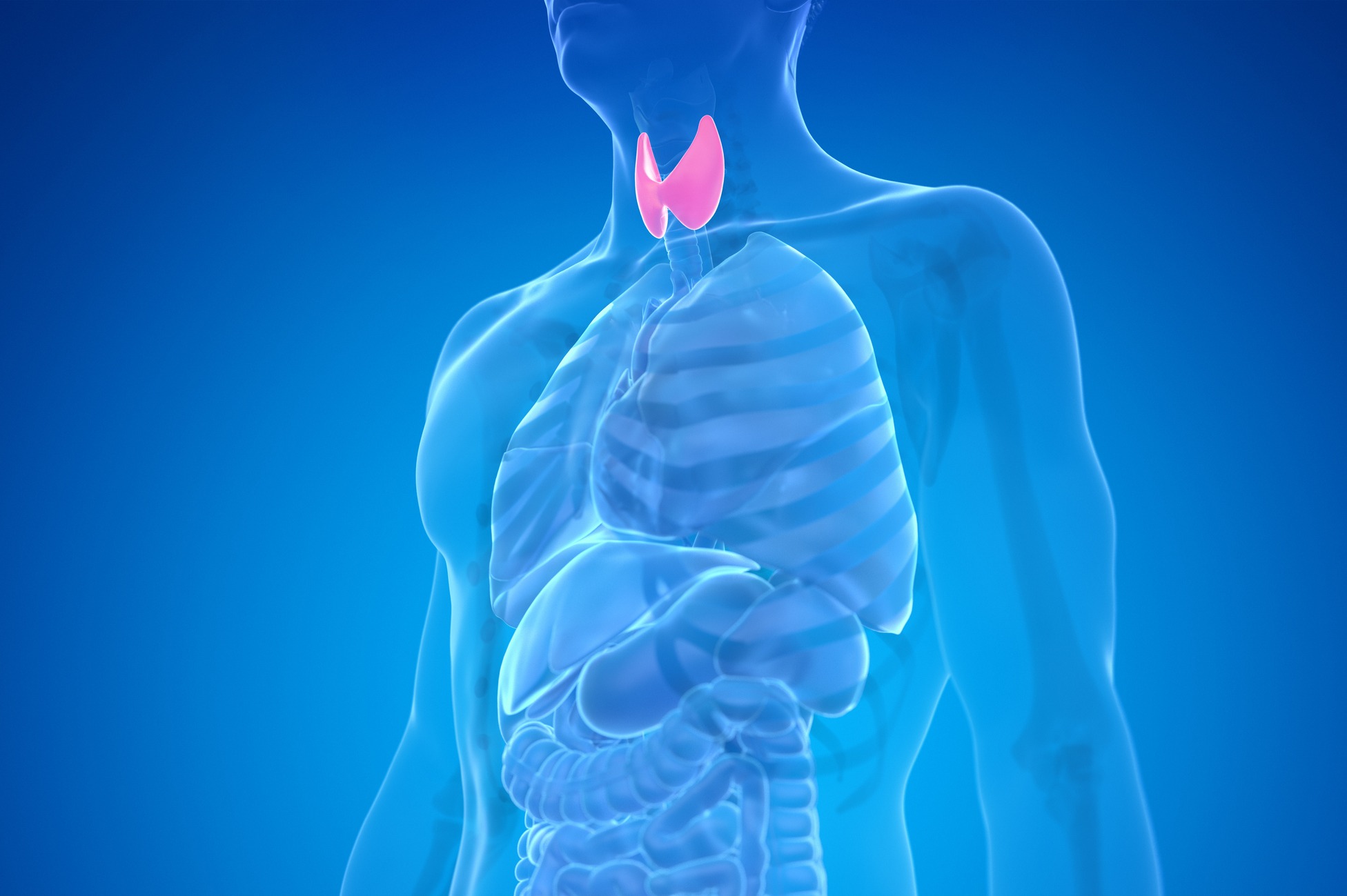 Thyroïdectomie : Comment prendre soin de sa demi-thyroïde ?