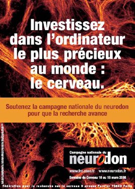 Neurodon