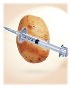Hépatite B patate vaccin