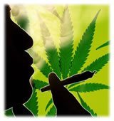 Cannabis prévention drogues