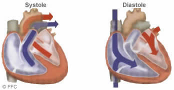 Tension artérielle : comment mesurer sa pression artérielle ? - Doctissimo