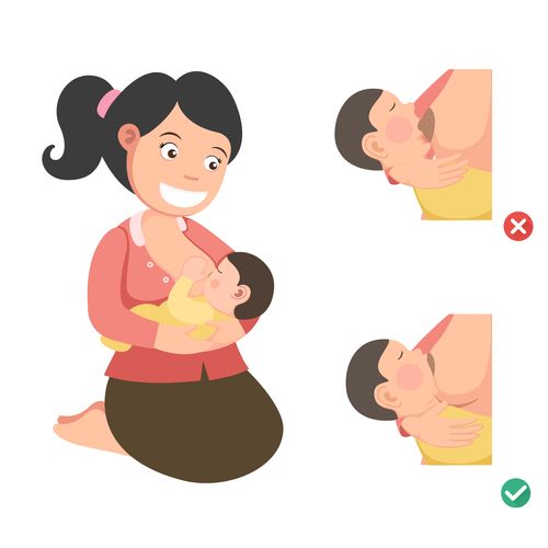 Les positions d'allaitement : illustrations et règles de base pour bien  allaiter bébé