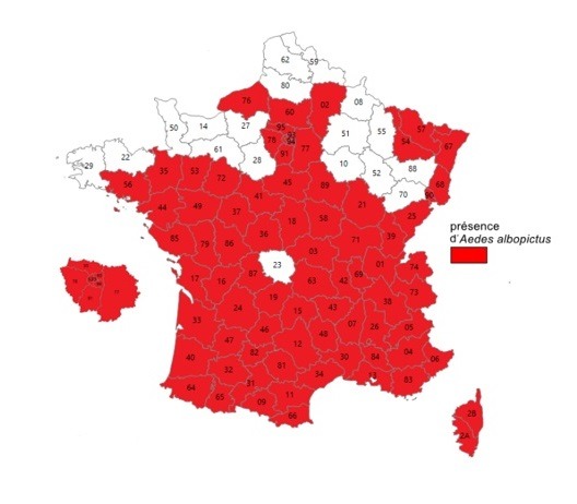 Carte d'implantation du moustique tigre en France