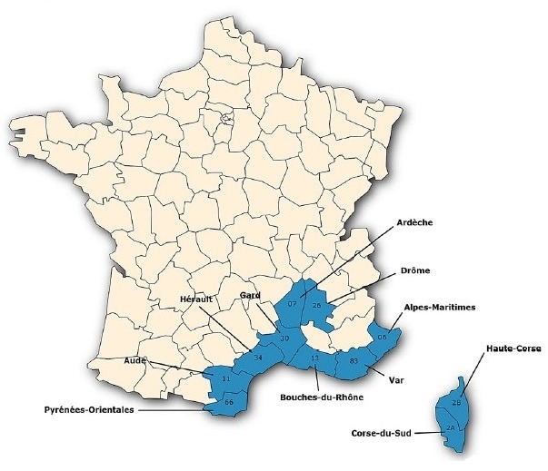 Carte de présence de la tique Hyalomna marginatum en France hexagonale