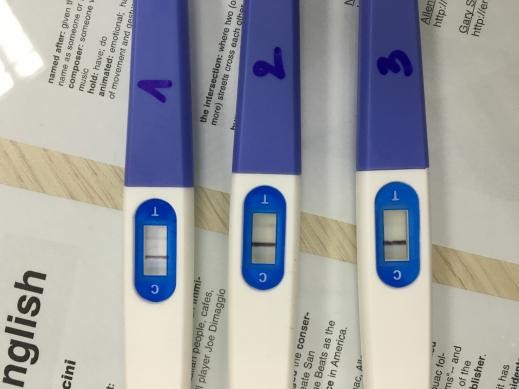 Faint Positive Pregnancy Test Then Negative Next Day Forum  