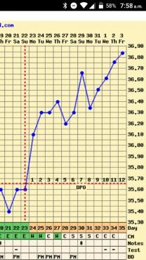 Had a major temp. spike this morning. Does that mean anything? I want to  test so bad! I got a negative pregmate on 9dpo and I'm 11dpo today. I think  I'm gonna