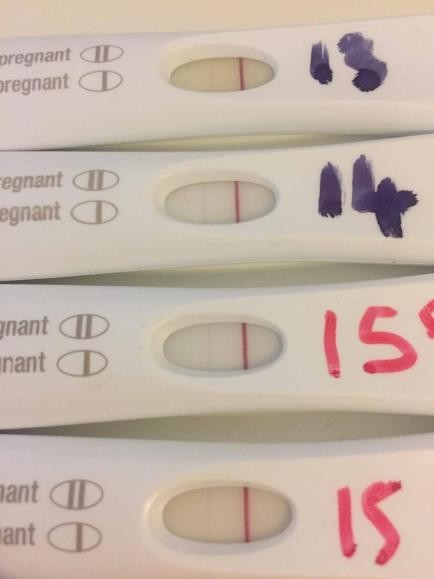 another-chemical-pregnancy-pics-of-frer-s