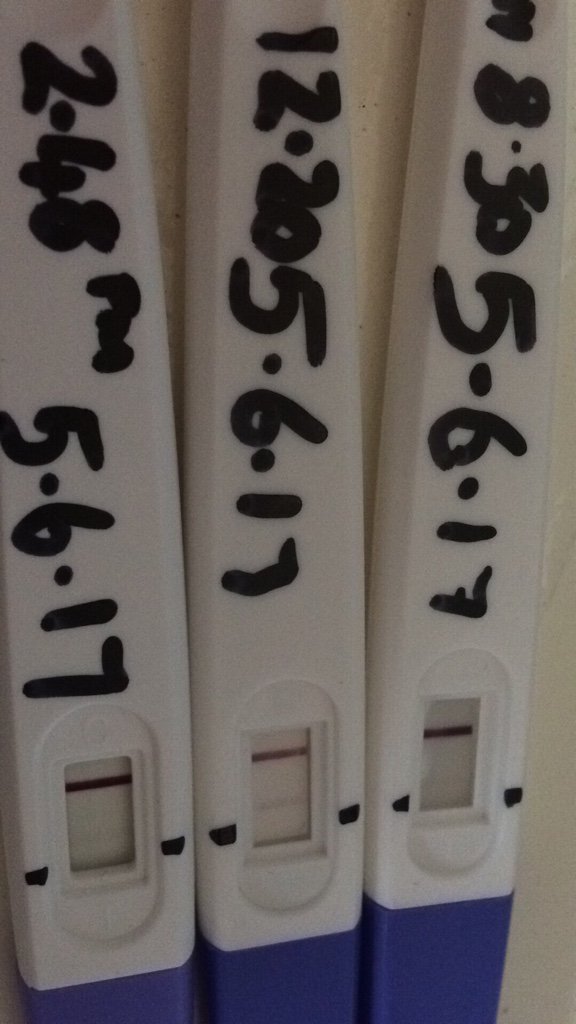 Blood loss/pregnancy tests not progressing as they should. Warning TMI pictures!