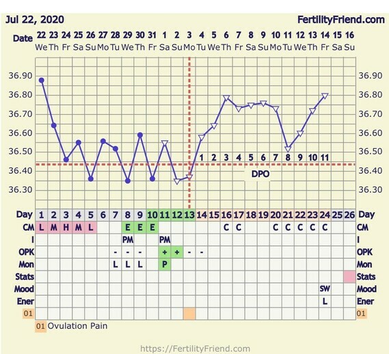 Would you ladies say this was an implantation dip? bbt chart attached