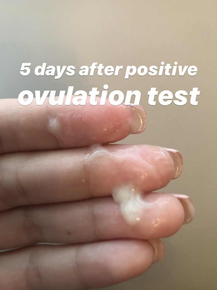 mucous-during-and-after-ovulation-see-picture