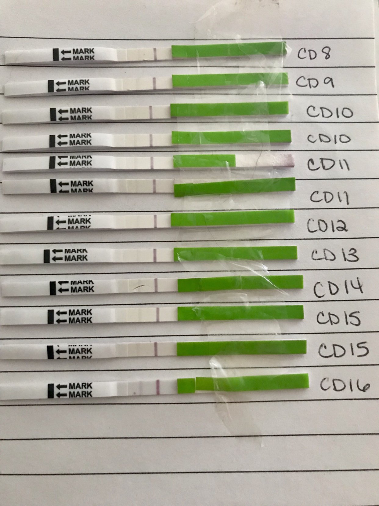 CD16 still negative OPKs