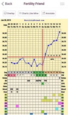 Temp dip then spike? - BBT Charting, Forums