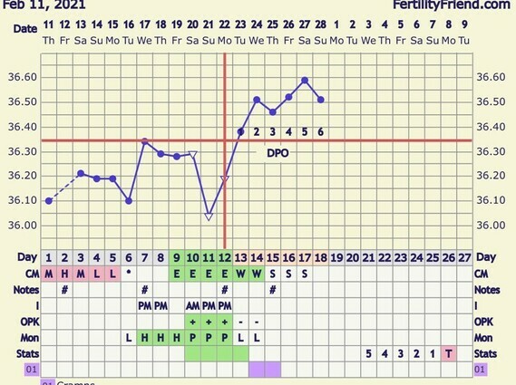 4dpo temp spike? Pic!