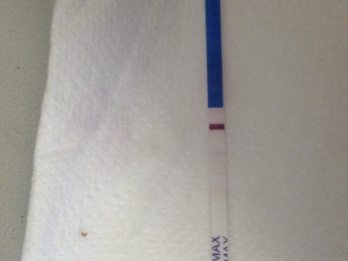 Bfp or evap line Page 4