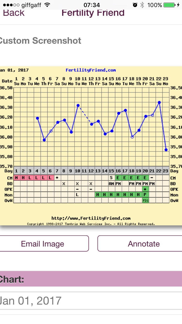 BBT chart/OPK/ultrasound confusion!