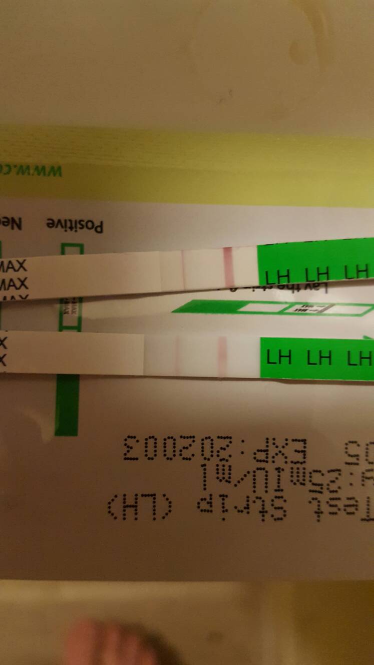 Ovulation test help
