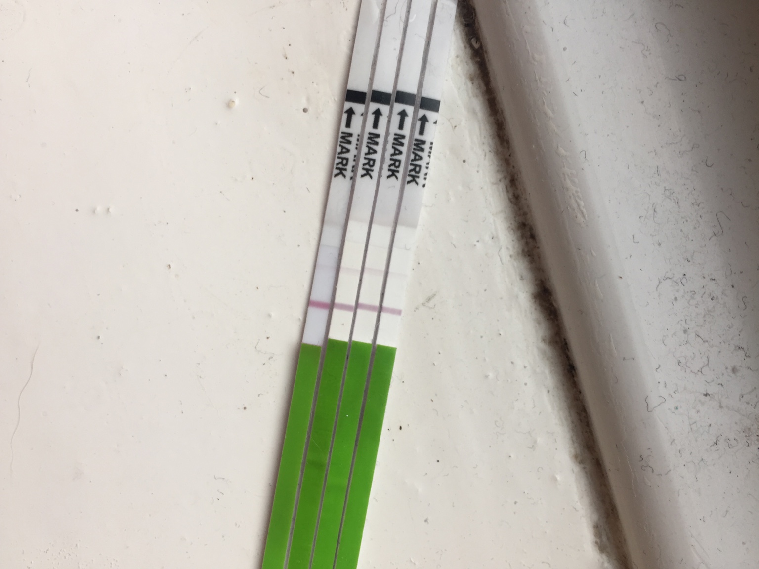 OPK first cycle after depo.