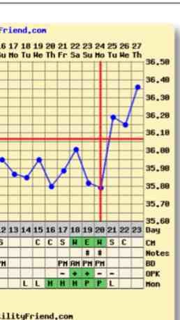 4dpo temp spike? Pic!