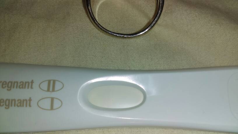 Frer Explained Frer with lines on