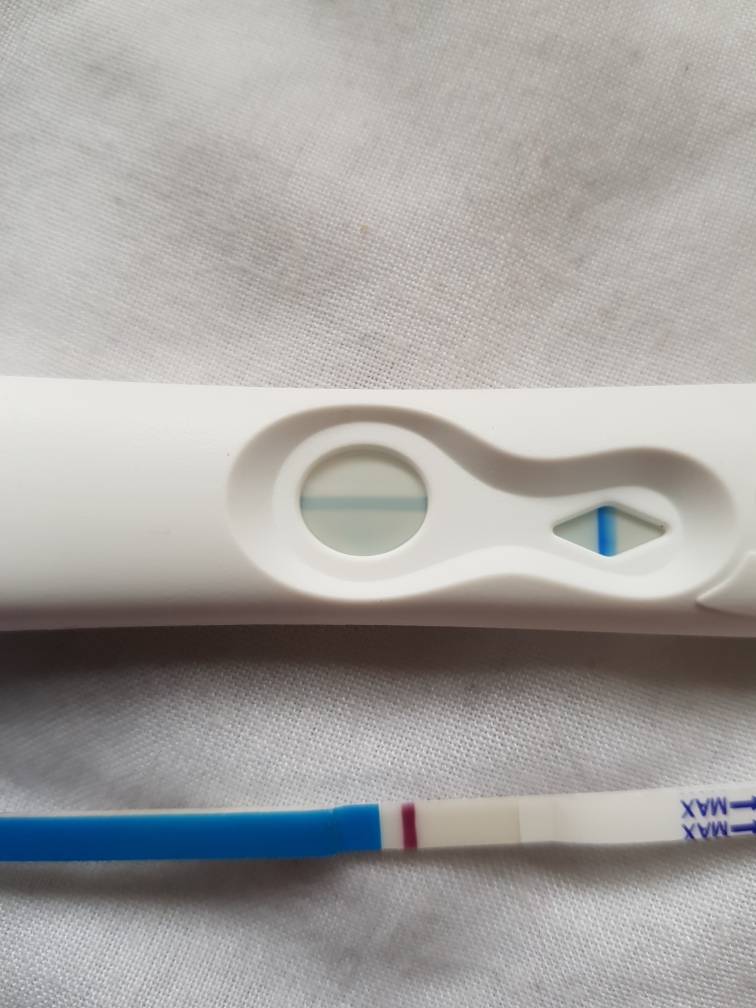 Np Test Postive Positive and negative tests