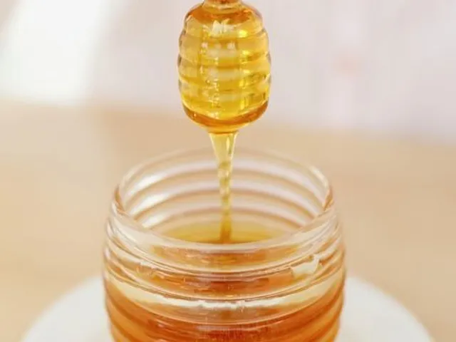 Miel : le probiotique contre les bactéries pathogènes