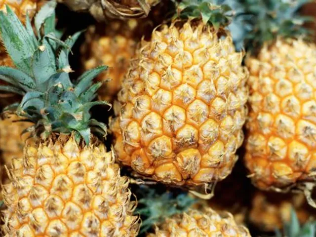 Objectif ventre plat : l’ananas