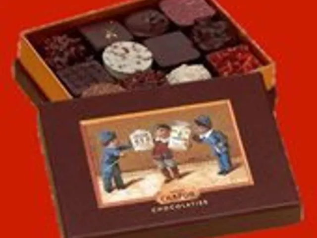  Ballotin de 24 chocolats - Patrice Chapon 