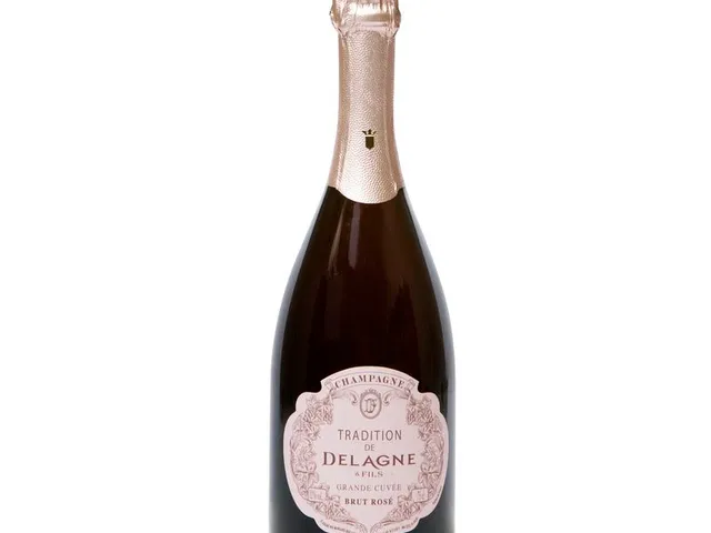 Champagne tradition brut rosé 2017, Delagne et Fils chez Intermarché