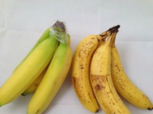 Comment conserver des bananes ?