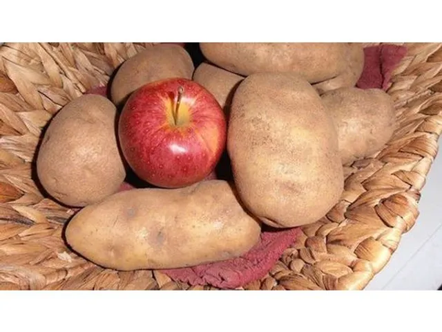 Comment éviter les germes sur les pommes de terre ?