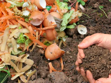 Composter ses déchets