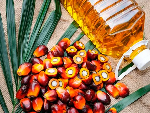 L’huile de palme : cachée dans les aliments industriels