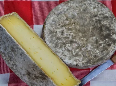 La tomme noire des Pyrénées : 953 mg de calcium/100 g