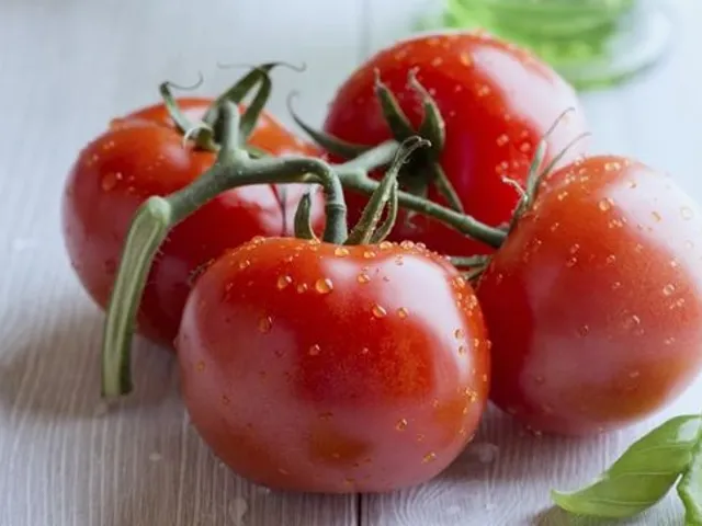 La tomate, le potiron, les agrumes