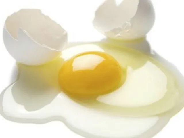 Le blanc d’œuf : la protéine la plus nourrissante