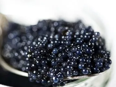 Le caviar et les œufs de poisson en général