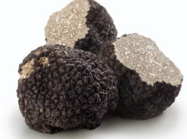 Les truffes