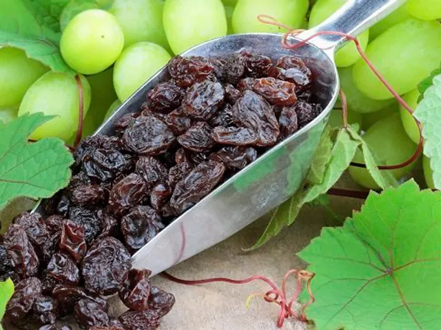 Les raisins secs
