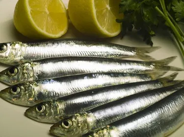 Les sardines