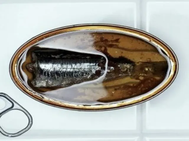 Les sardines à l’huile en conserve