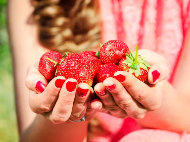 12 fraises pour faire baisser le cholestérol